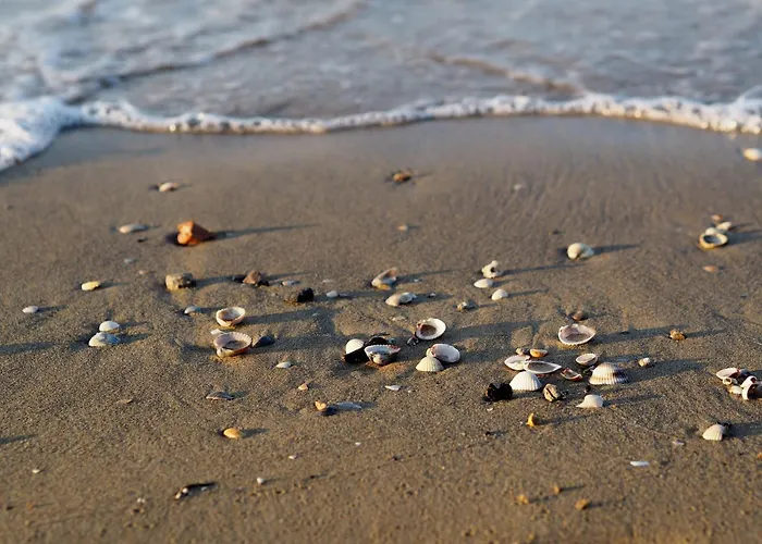 Luminous Flat Near The * Bibione